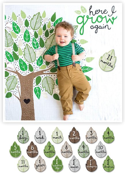 einfachschön Das 1. Jahr mit Baby - Baby's First Year™ Swaddle-Tuch & Fotokarten Set - Here I grow again von lulujo